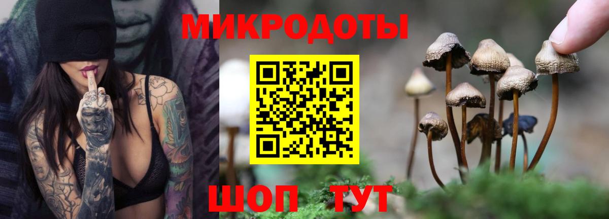 где купить наркоту  Галлюциногенные грибы прущие грибы  Вход с VPN  Галлюциногенные грибы ЛСД  Нефтекумск 